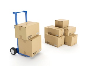 Professional Moving Company